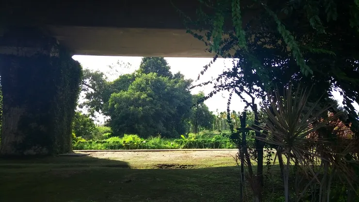 拍於2020年，單車國道一景。