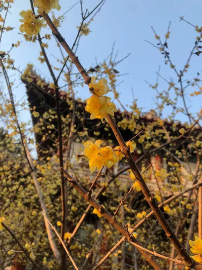 2025 春暖花開③