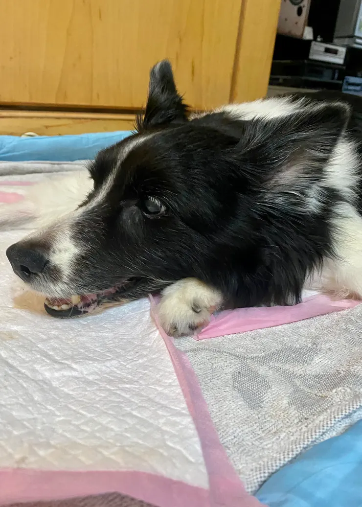 她聽到我問她是不是讓後面的插隊居然笑了