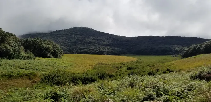 好運的話，可以看到斯里蘭卡豹在散步，可惜當天沒有看到