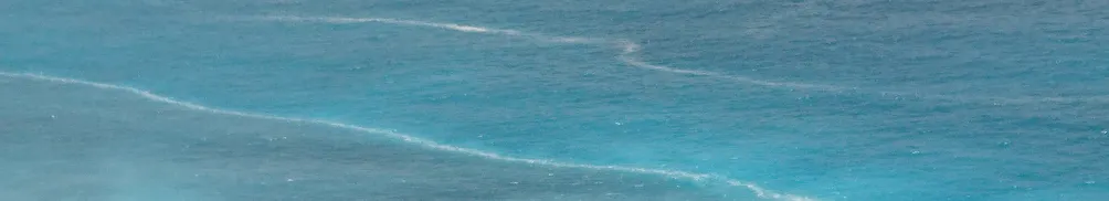 小調一姐的人生光景的沙龍