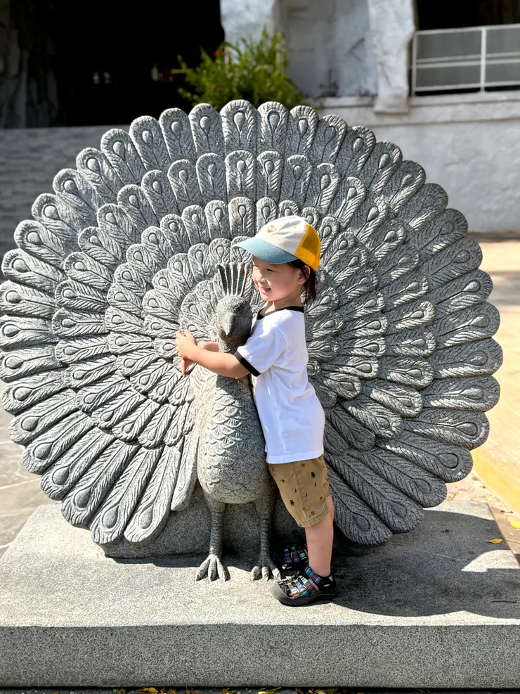 壽山動物園-孔雀園。裡面實在太美了，超多孔雀！