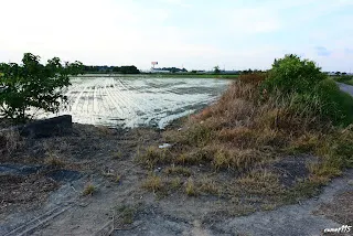 (7815)-往過溝方向拍&nbsp;