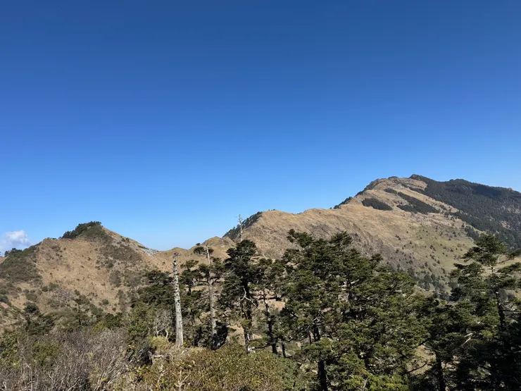 山巒起伏，難得看到樹林。