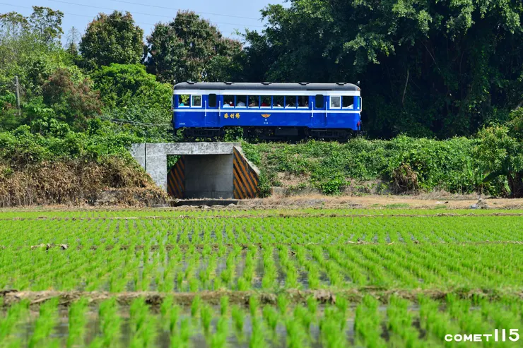 過了急水溪橋之後進入純樸的農村風景