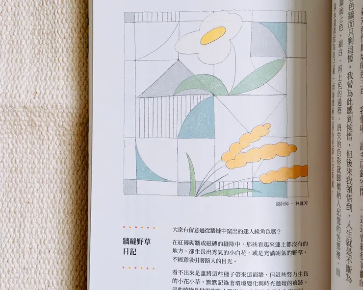美感的存在，即因為那就是所有事物所能呈現的「最好的樣子」。