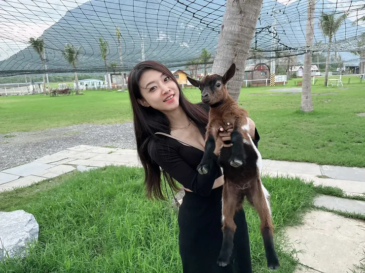                       花蓮農場剛出生的小羊     I攝影:Sunnyah 