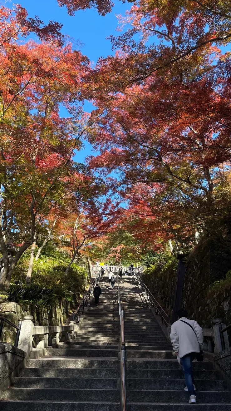 放一張清水寺的樓梯ending，回來一個禮拜了，我已經各種想念日本了嗚嗚