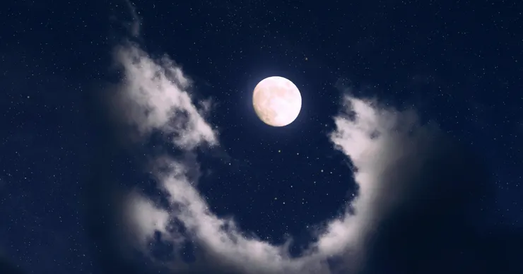 Photo by Aron Visuals on Unsplash