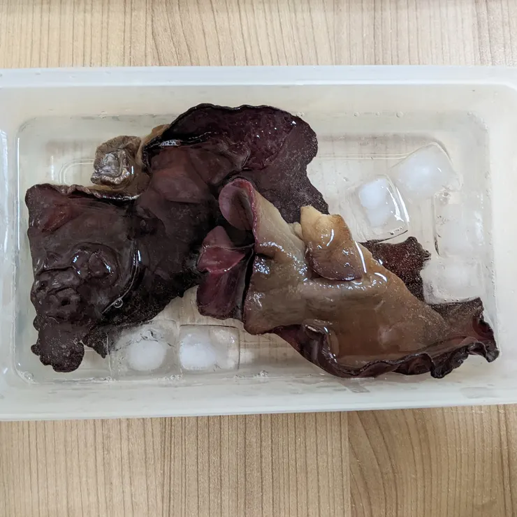 冰鎮可以保有脆度