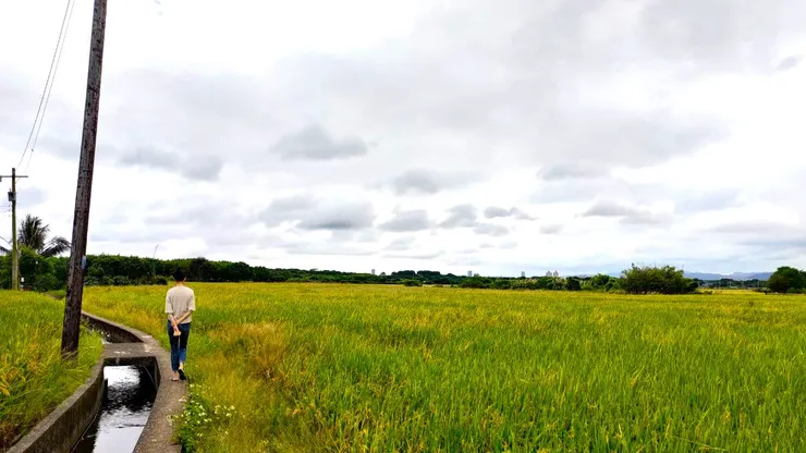 面試工作完，和老闆漫步在他們孩子曾奔跑過的田園