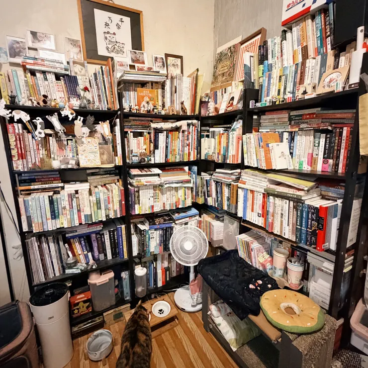 有點可惜，我忘了先把before拍起來。