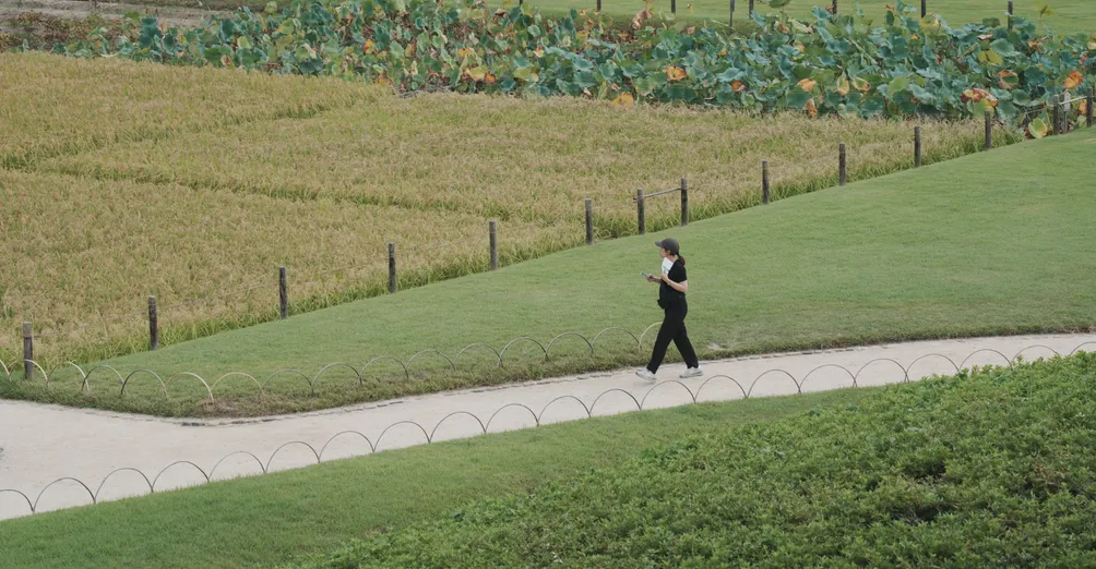 你也喜歡電影影集中的台詞嗎