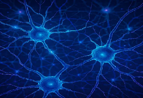 GPT生成的神經連結概念圖，雖然是失真的(沒有呈現真實的軸突或樹突結構)，但還是有參考價值。「外界刺激神經的電訊號」和「以此建構的神經網絡」就是我們的「經驗基礎」。