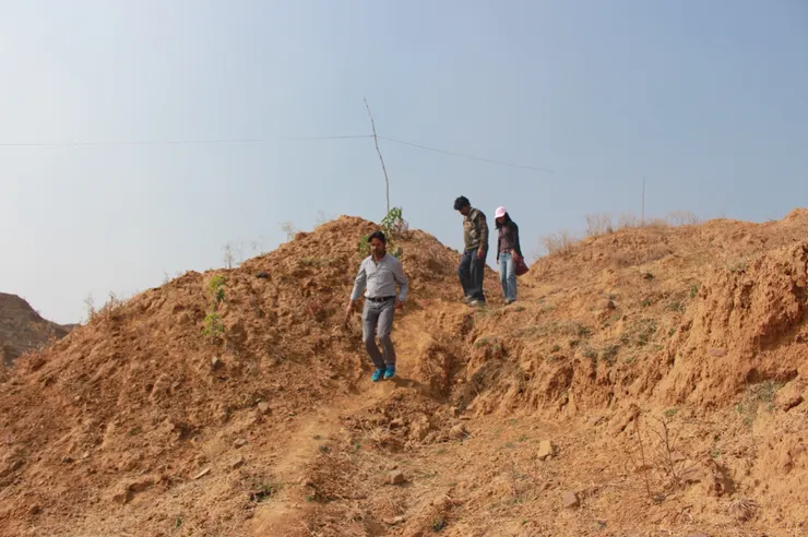 躲在山丘後的鑽石田