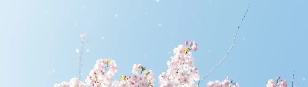 Yulina Huang的沙龍