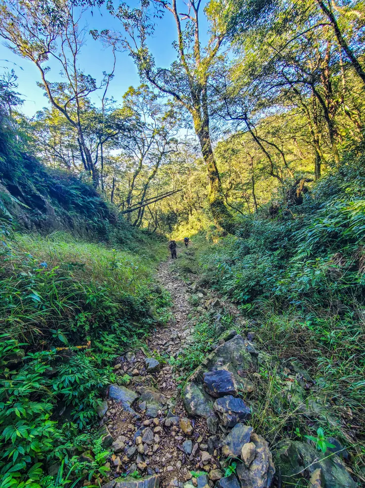 起登後緩陡上，雖說這幾天沒下雨，但地上還是有些溼滑