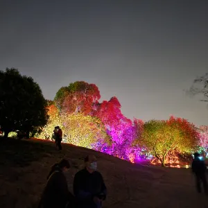 奶茶巧克的沙龍