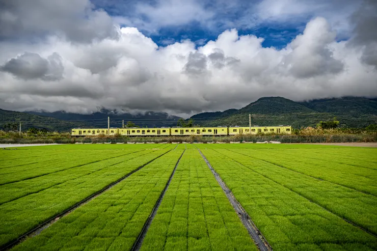 ▲春天的花東縱谷,從瑞穗育苗場的一抹嫩綠開始。