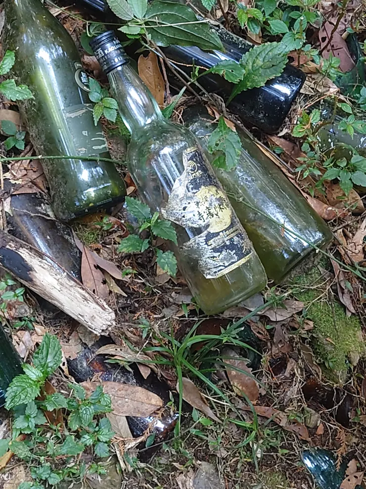 找到了，黑金龍金門高粱