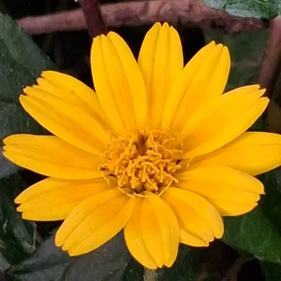 Ashley的文字天空