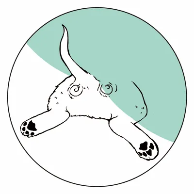 慢步知心的沙龍