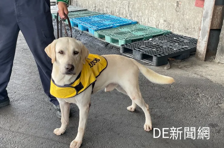 基隆關新增加2隻緝毒犬投入毒品查緝工作。(照片/基隆關提供)