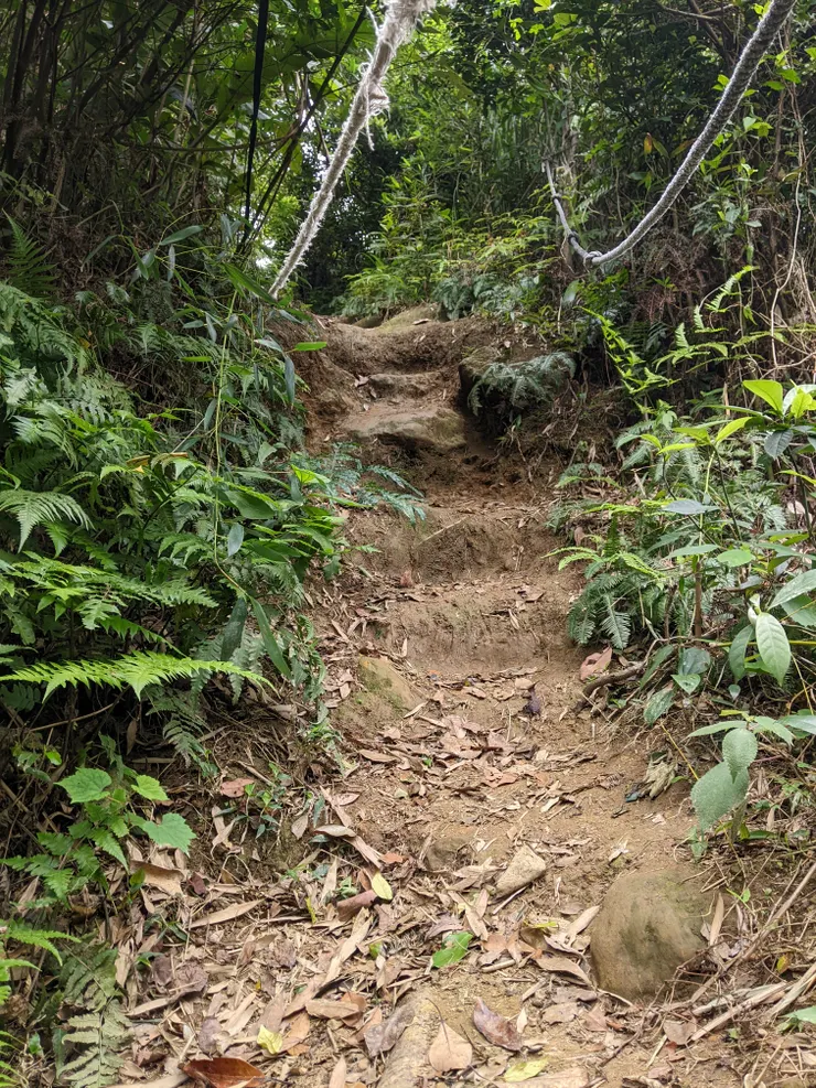 陡上地形有點挑戰性，再來是泥土路徑，如果下雨天會很泥濘需注意