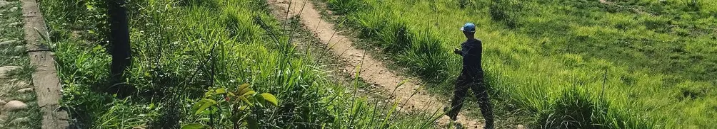 Pei D Huang的沙龍