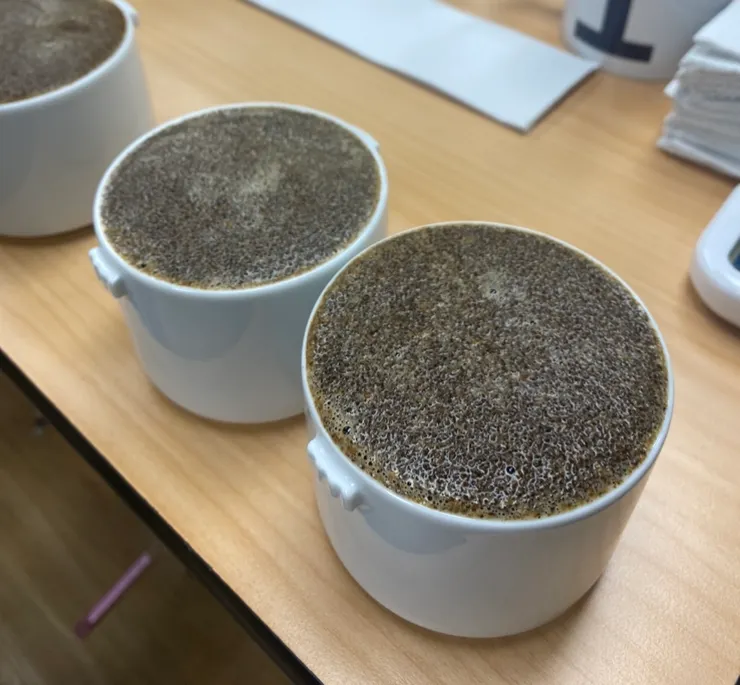 花香與蜜桃的風味清晰,酸質乾淨明亮,厚著臉皮也要問到農園主的電話。