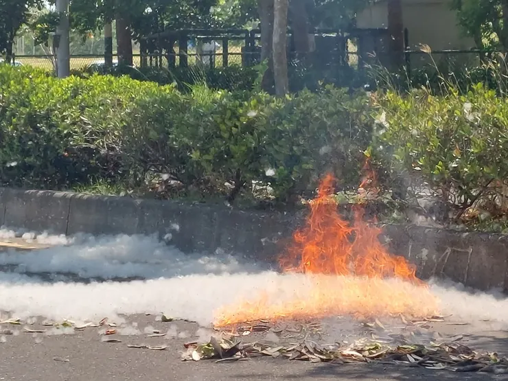 工人一點火，一下子就把一大堆的木棉飛絮給燒得精光！