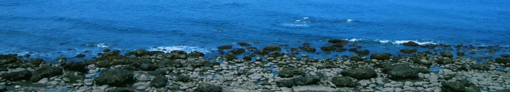 沈楓ShenFeng的沙龍