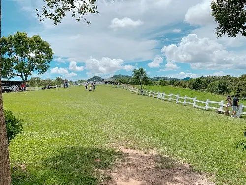 每次小玲就是給我這種─希望能海闊天空的感