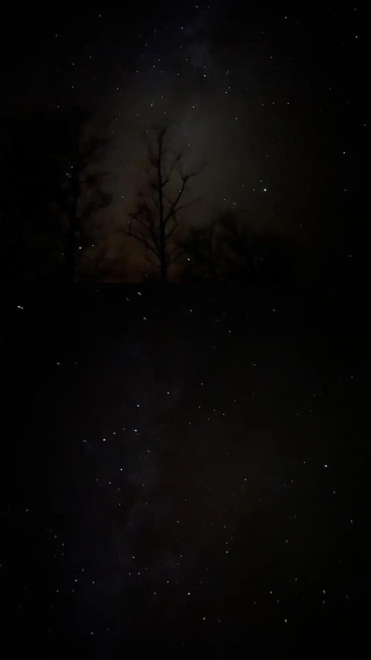 Gooseberry Falls State Park 晚上拍到的星空