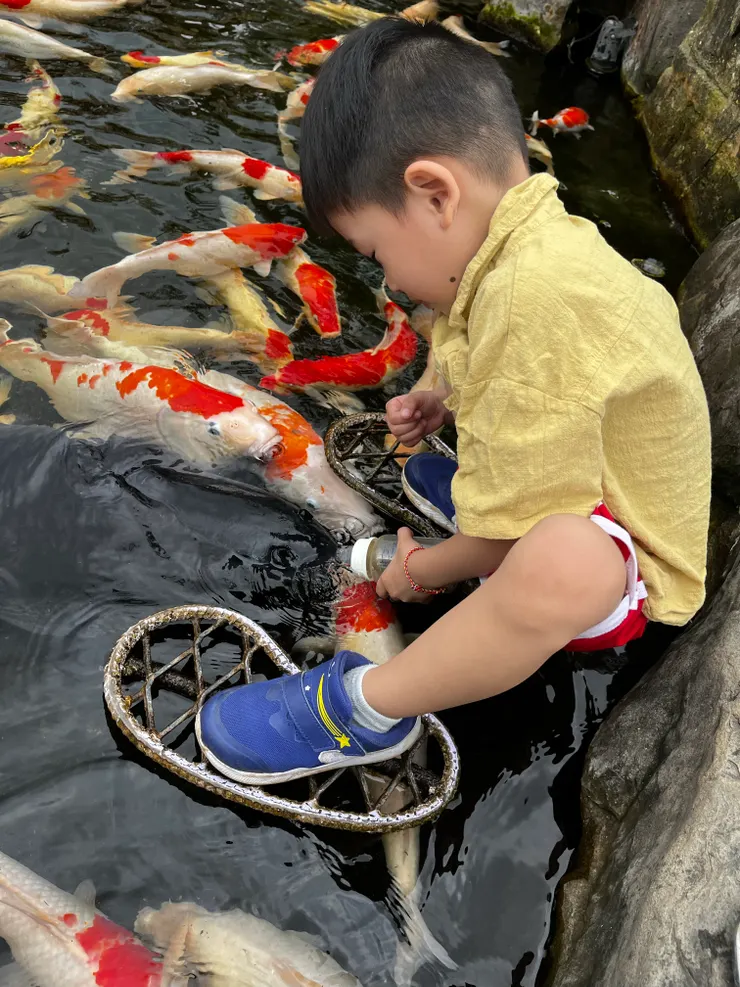 魚飼料一下下就餵完，後來都在玩奶瓶跟水 XDD