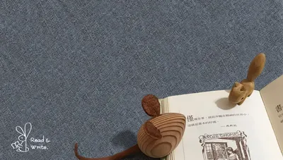 一半一半的知識禮物