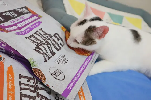 PETA寵物｜ABSOLUTE HOLISTIC超越顛峰-毛球排出(愛不釋手的蔣蔣)