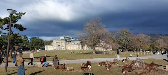 博物館前遊客與鹿和諧的畫面