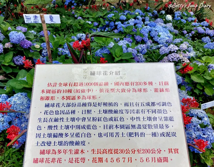 ▲桃園龍潭「穧粑崠咖啡農場」、「越軌咖啡」/ 圖片來源：Betty's Jump Diary