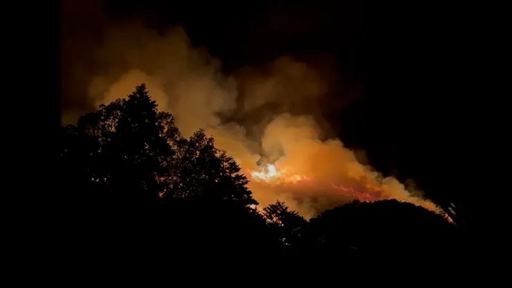 據史料記載,燒山祭的由來是因為兩個鄰近的寺廟爭執土地而起的。為了公平起見,才用燒山的方式來劃分地界。雖然沒有買到付費觀景台,但看到熊熊大火還是挺震撼的。