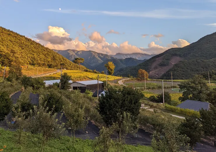 房間窗戶看出去的景色