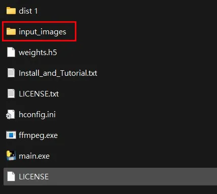 input_images