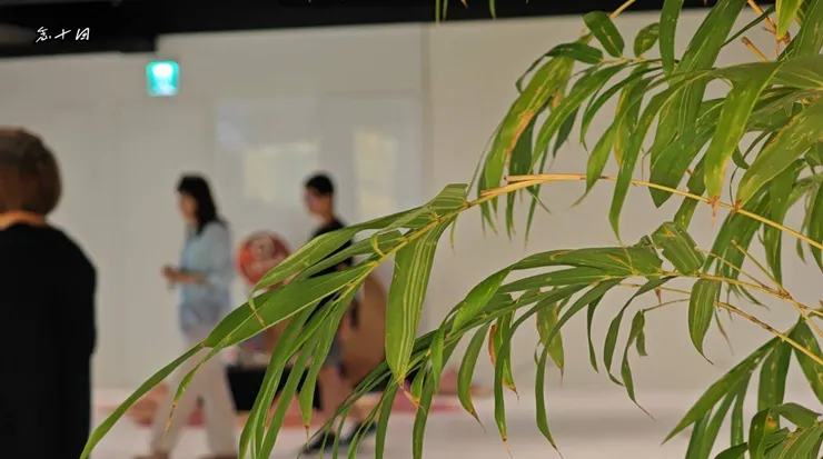 台灣茶藝文化學會舉辦鬥茶大賽