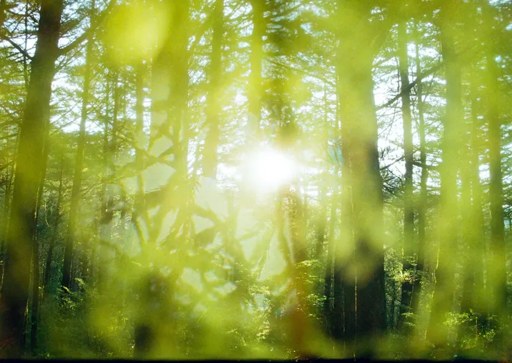 （圖／《骨恆久於羽》電影劇照；台灣國際紀錄片影展提供）