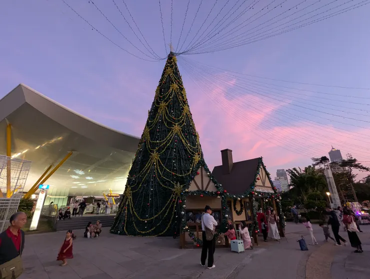 粉橘色的天空相映聖誕樹