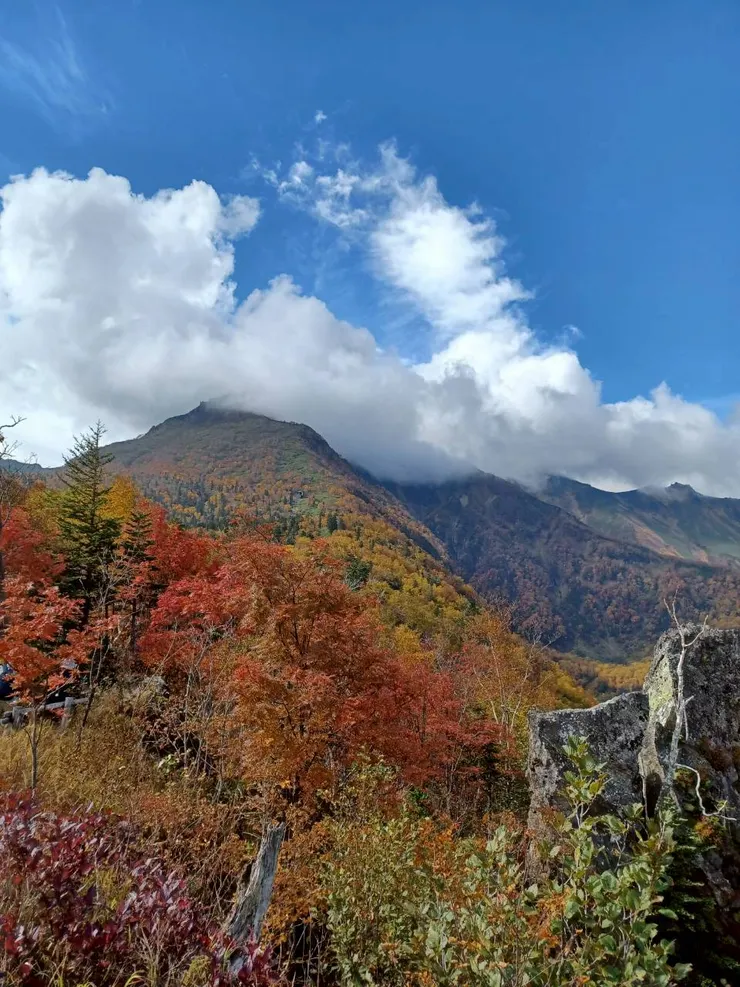 第三日黑岳纜車的風景很壯麗