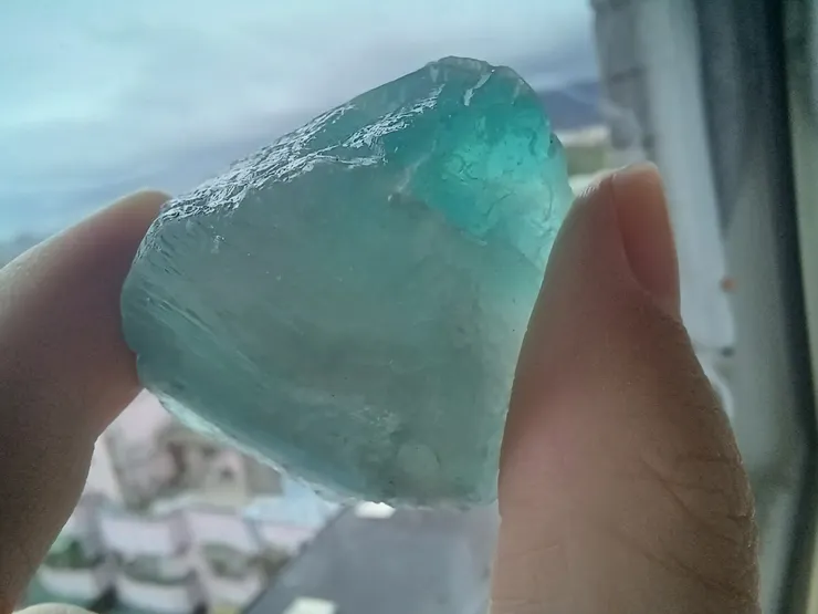 攝於2025.03.05 牠剛來不久的時候