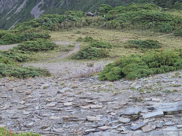 快接回正路了