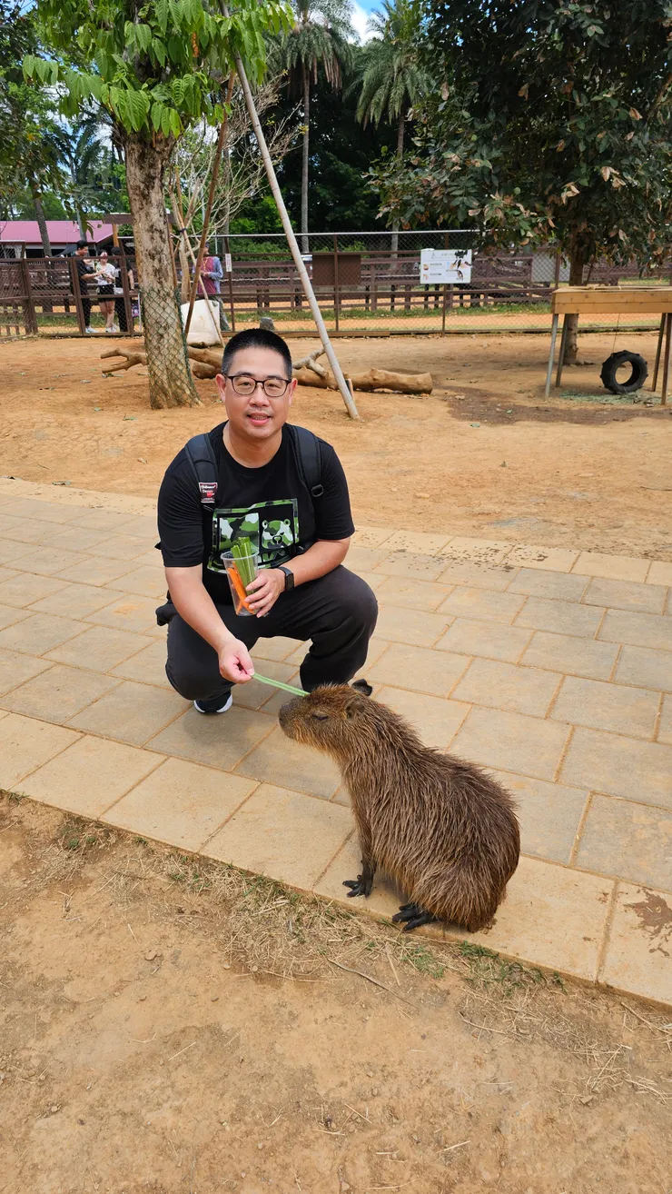 我在埔心牧場開心拿牧草餵卡皮巴拉!