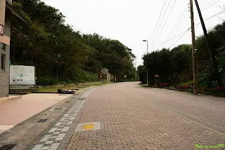 望向隧道方向&nbsp;